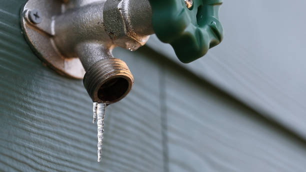 Best Local Plumber Services  in Arcola, VA